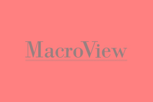 MacroView